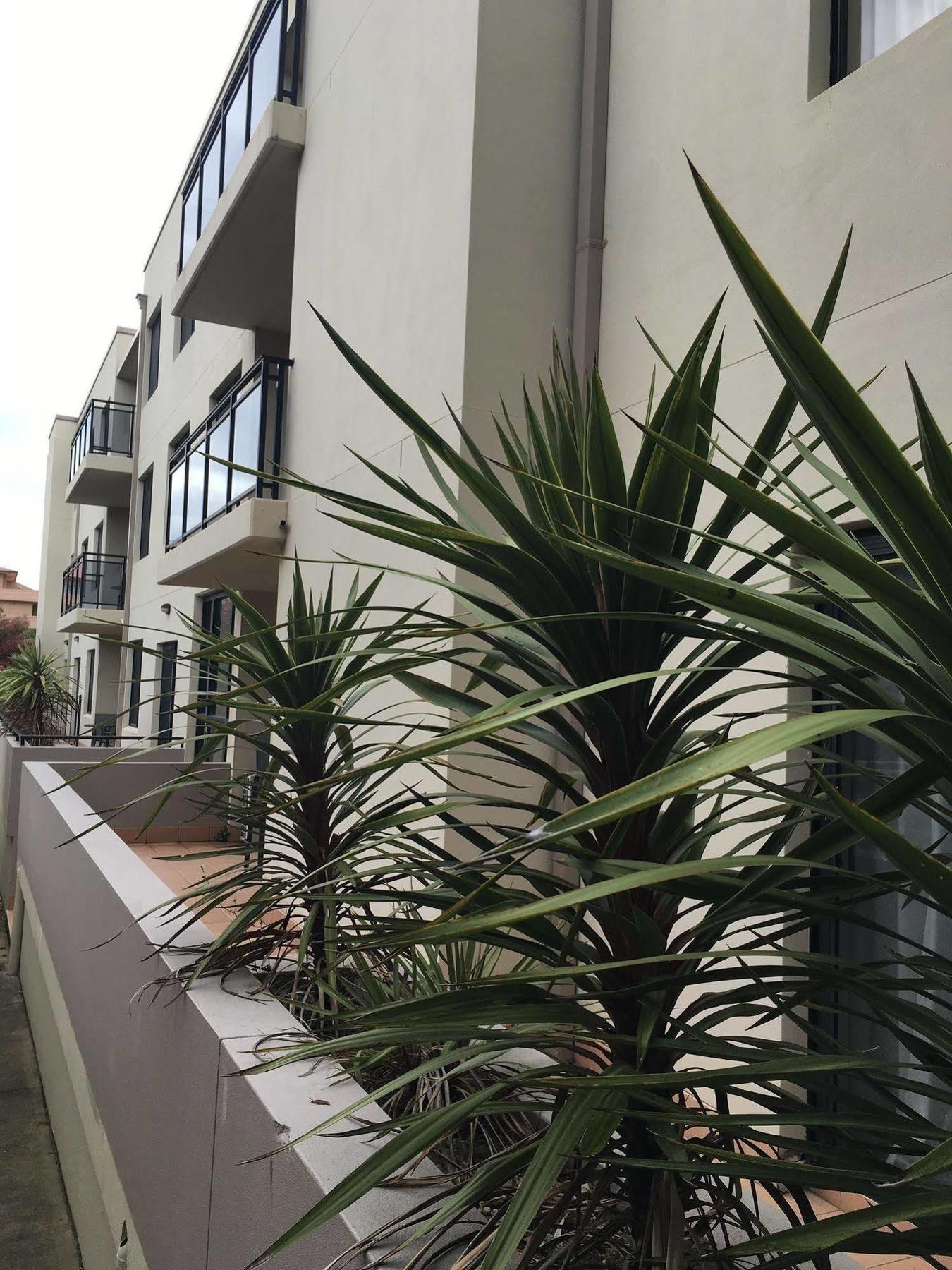 Wollongong Serviced Apartments ภายนอก รูปภาพ